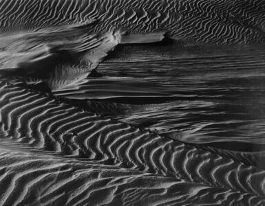 Brett Weston