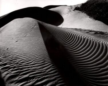 Brett Weston