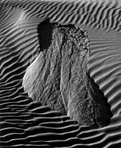 Brett Weston