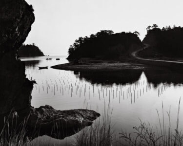 Brett Weston