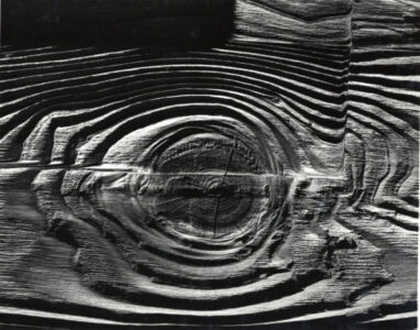 Brett Weston