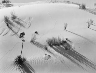 Brett Weston