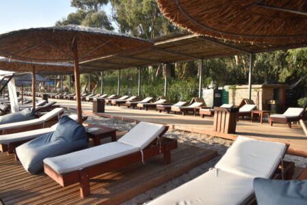 Δήμητρα Τσομλεκτσόγλου