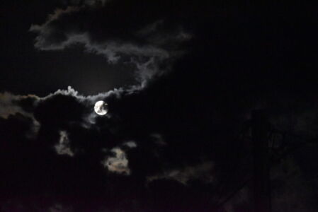 Δήμητρα Τσομλεκτσόγλου