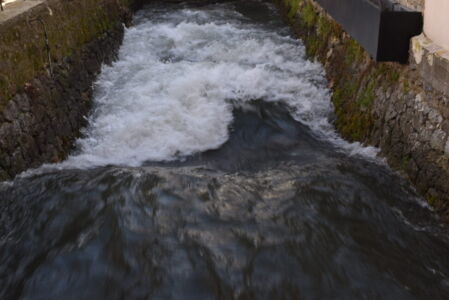 Δήμητρα Τσομλεκτσόγλου