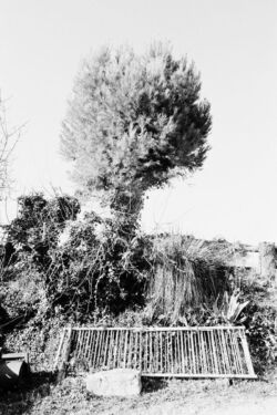 Marco Castelli