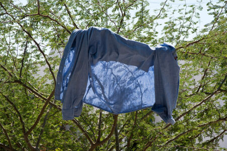 Μάντη Λυκερίδου