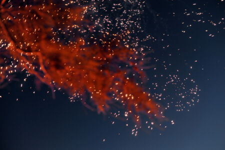 Μάντη Λυκερίδου