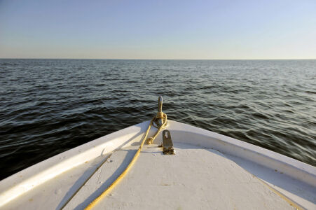 Μάντη Λυκερίδου