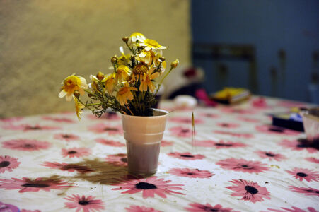 Μάντη Λυκερίδου