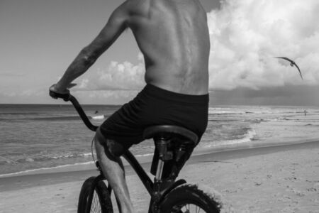 David Alan Harvey