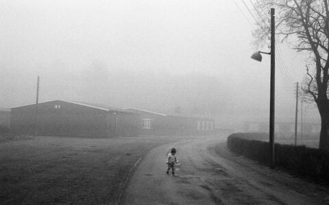 David Alan Harvey