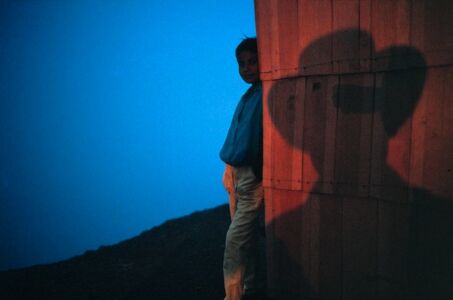 David Alan Harvey