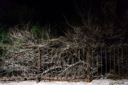 Κώστας Φραγκούλης