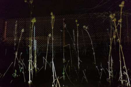 Δημήτρης Φραγκούλης