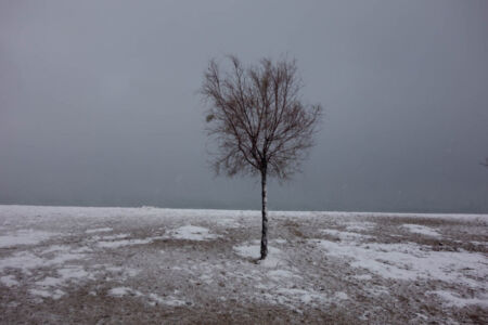 Κώστας Φραγκούλης