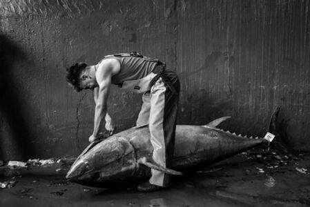 Francesco Zizola - Italy Sardinia, June 2017
Tonnaroto begins to gut a large bluefin tuna, just caught. The meat will be distributed in the world food trade.
Francesco Zizola /NOOR