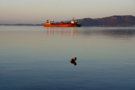 Κώστας Μασσέρας
