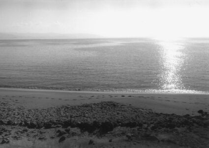 Έμμα Μπαρμπαρήγου