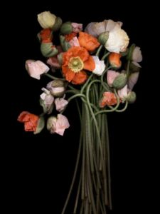 Joyce Tenneson