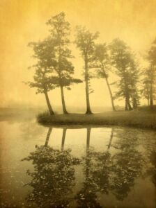 Joyce Tenneson