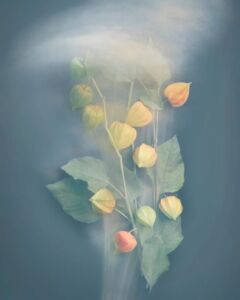 Joyce Tenneson