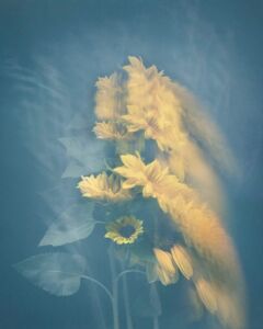Joyce Tenneson