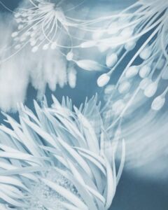 Joyce Tenneson