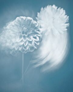 Joyce Tenneson