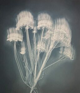 Joyce Tenneson