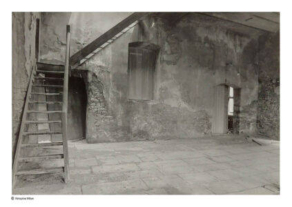 Κατερίνα Μέγα