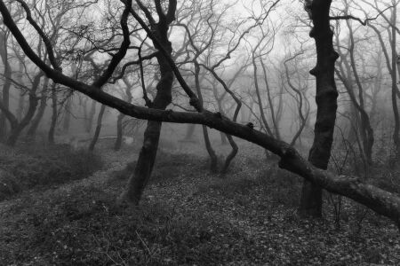 Βίκυ Κυριακοπούλου