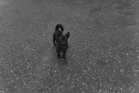 Βίκυ Κυριακοπούλου