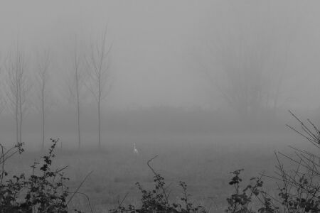 Βίκυ Κυριακοπούλου