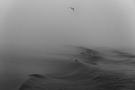 Βίκυ Κυριακοπούλου