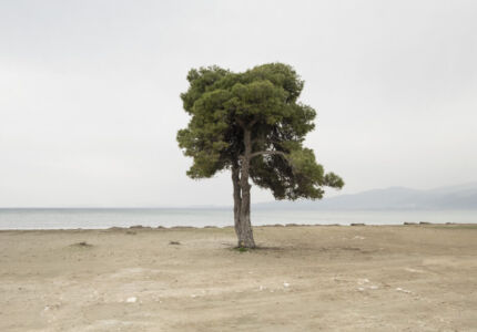 Χαρά Σκλήκα - On the shore