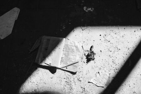 Βασίλης Μποντόσογλου