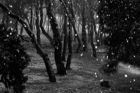 Ευαγγελία Μπάλιου