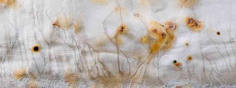 Κατερίνα Καλούδη