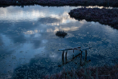 ΕΥΗ ΚΟΠΕΛΙΑ