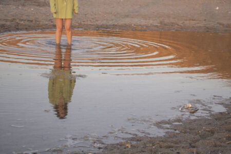 ΕΛΕΝΗ ΜΑΚΡΥΔΑΚΗ