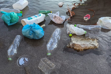 ΜΑΡΙΑ ΜΕΛΑΚΗ