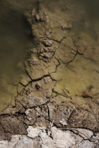 ΝΙΚΟΣ ΧΑΪΔΟΥΛΗΣ