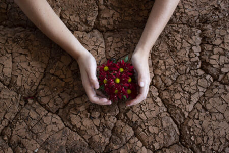 ΣΤΑΥΡΟΥΛΑ ΧΑΤΖΗΓΕΩΡΓΙΟΥ