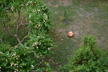 Έλενα Γανδά