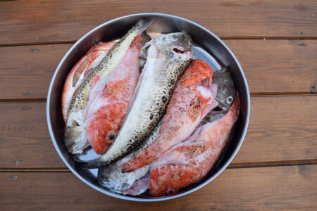 Έλενα Γανδά