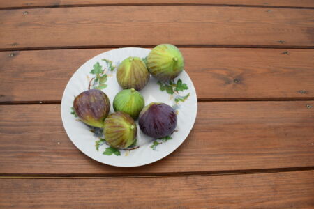 Έλενα Γανδά