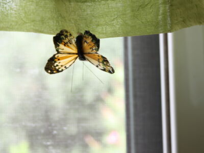 Έλενα Γανδά