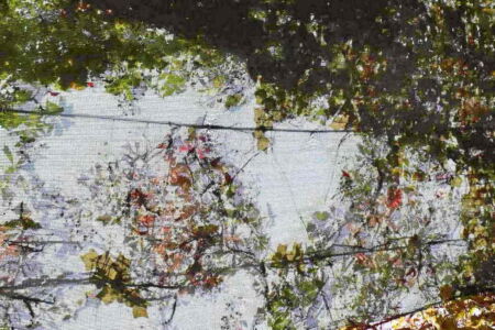 Έλενα Γανδά