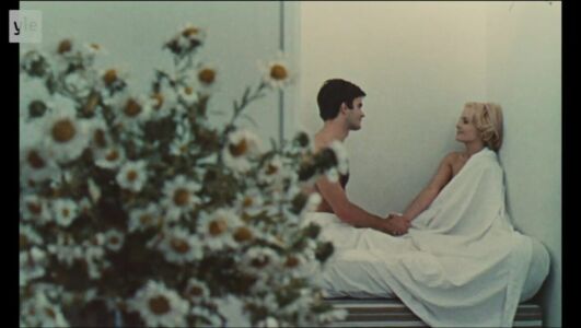 Agnès Varda - Le Bonheur